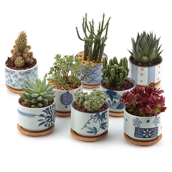 T4U 3-Inch Japanese Style Ceramic Planters