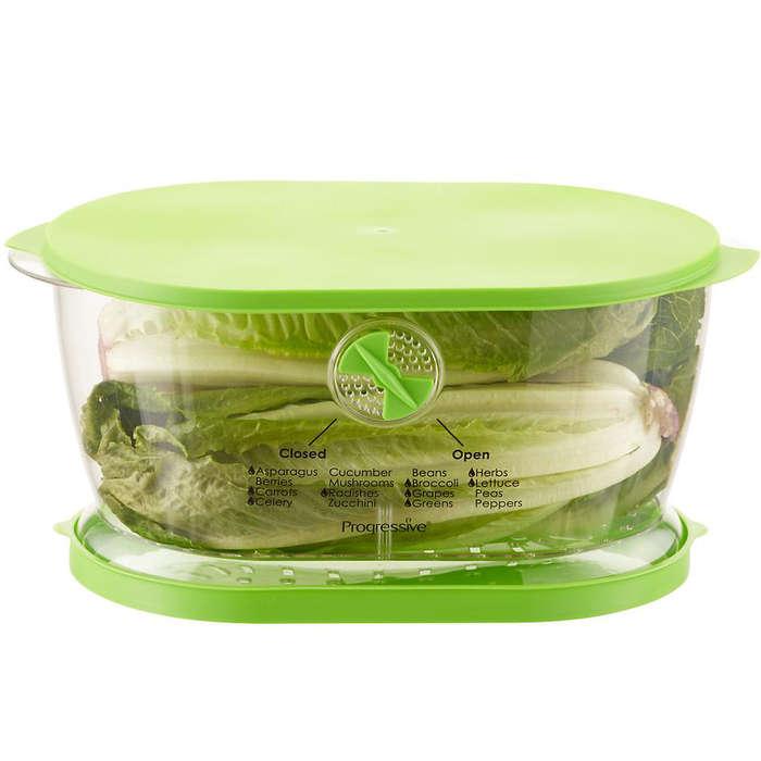 Progressive Prepworks Lettuce Keeper Food Storage , 4.7 Qt, Green Lid Best  Price