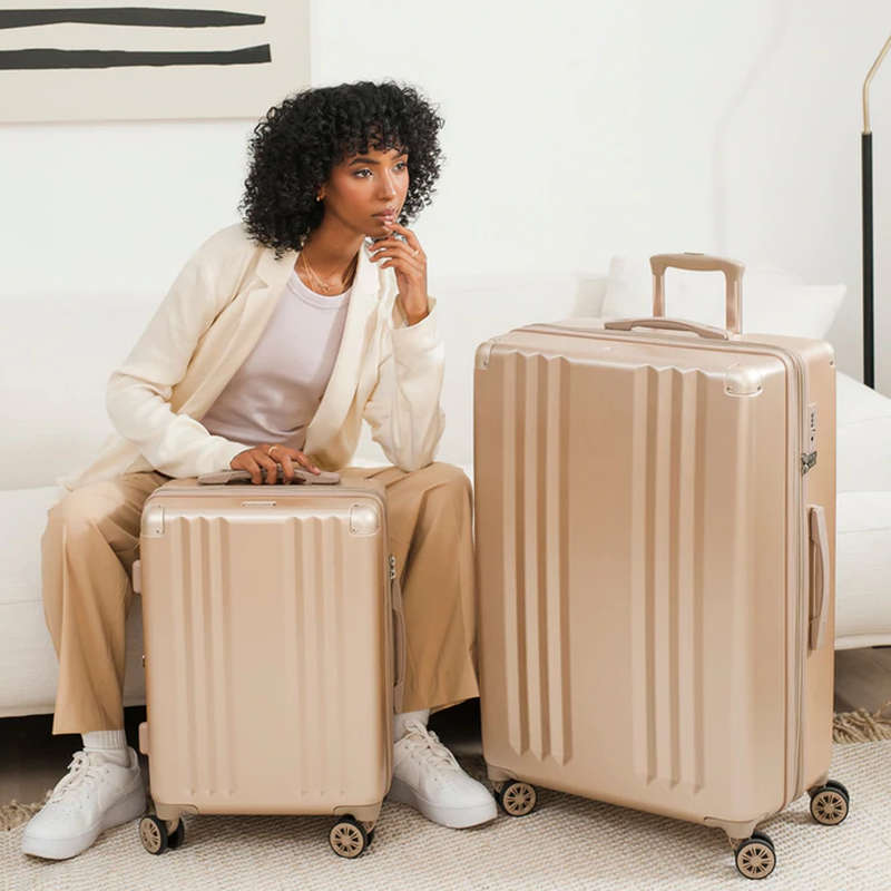 sitting luggage